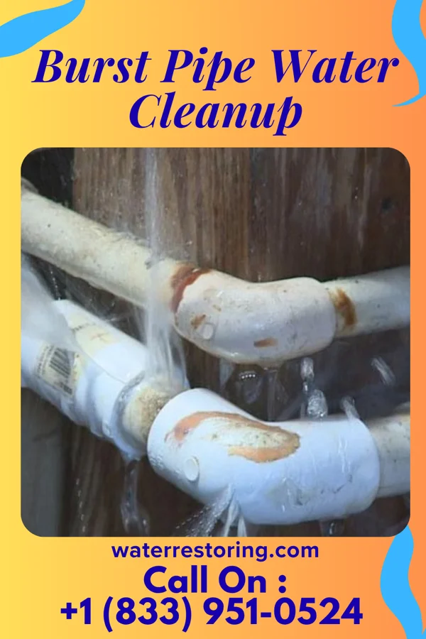 Burst Pipe Water Cleanup in Rothschild, WI