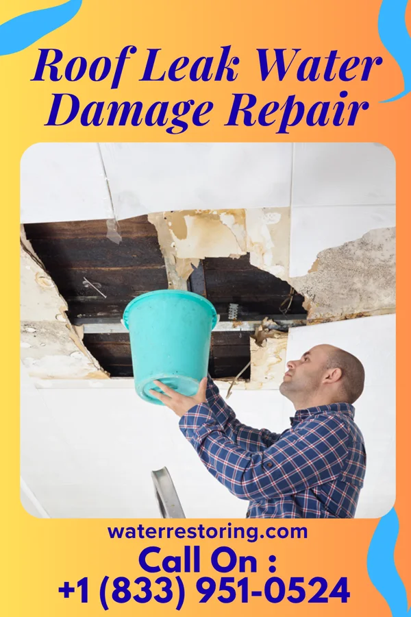 Roof Leak Water Damage Repair in Rothschild, WI